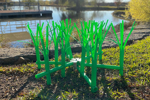 Grass bed habitat on shoreline