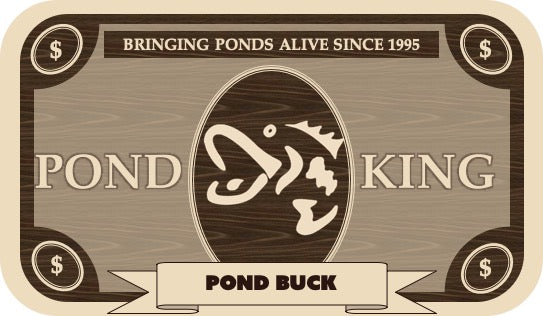 Pond Bucks