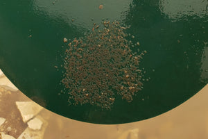 Honey Hole Spawning Discs