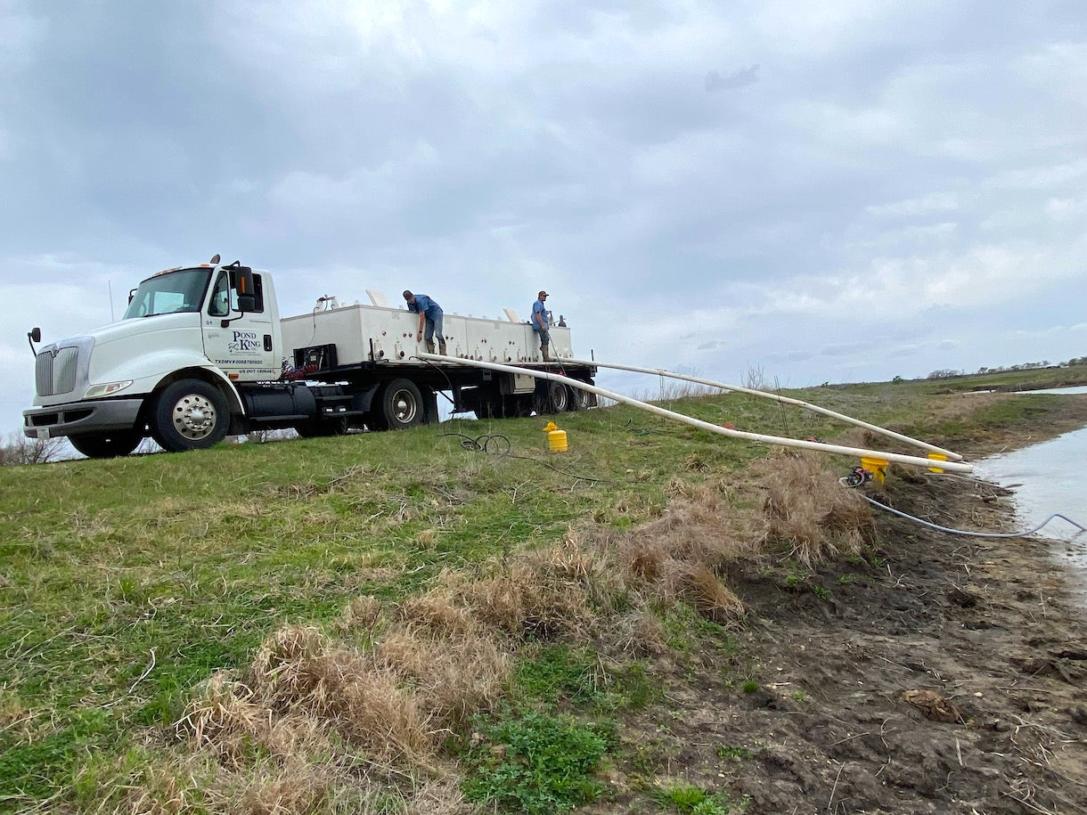 truck unloading fish