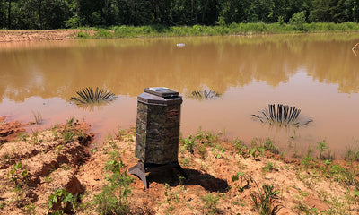 Fish feeder on pond bank