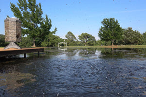 Texas Avenger Fish Feeder