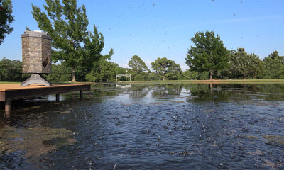 Texas Avenger Fish Feeder