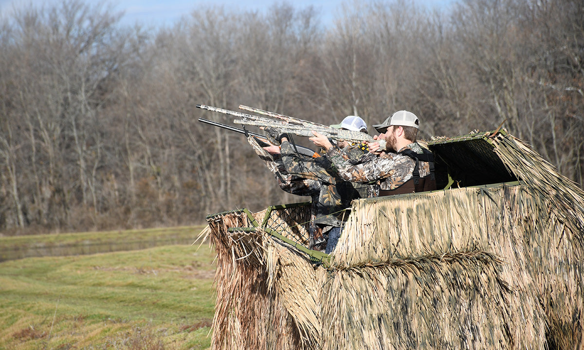 Hunters aiming guns out of blind