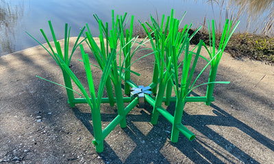 Grass Bed habitat near shoreline