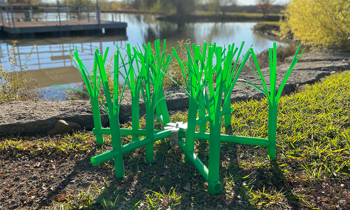 Grass bed habitat on shoreline