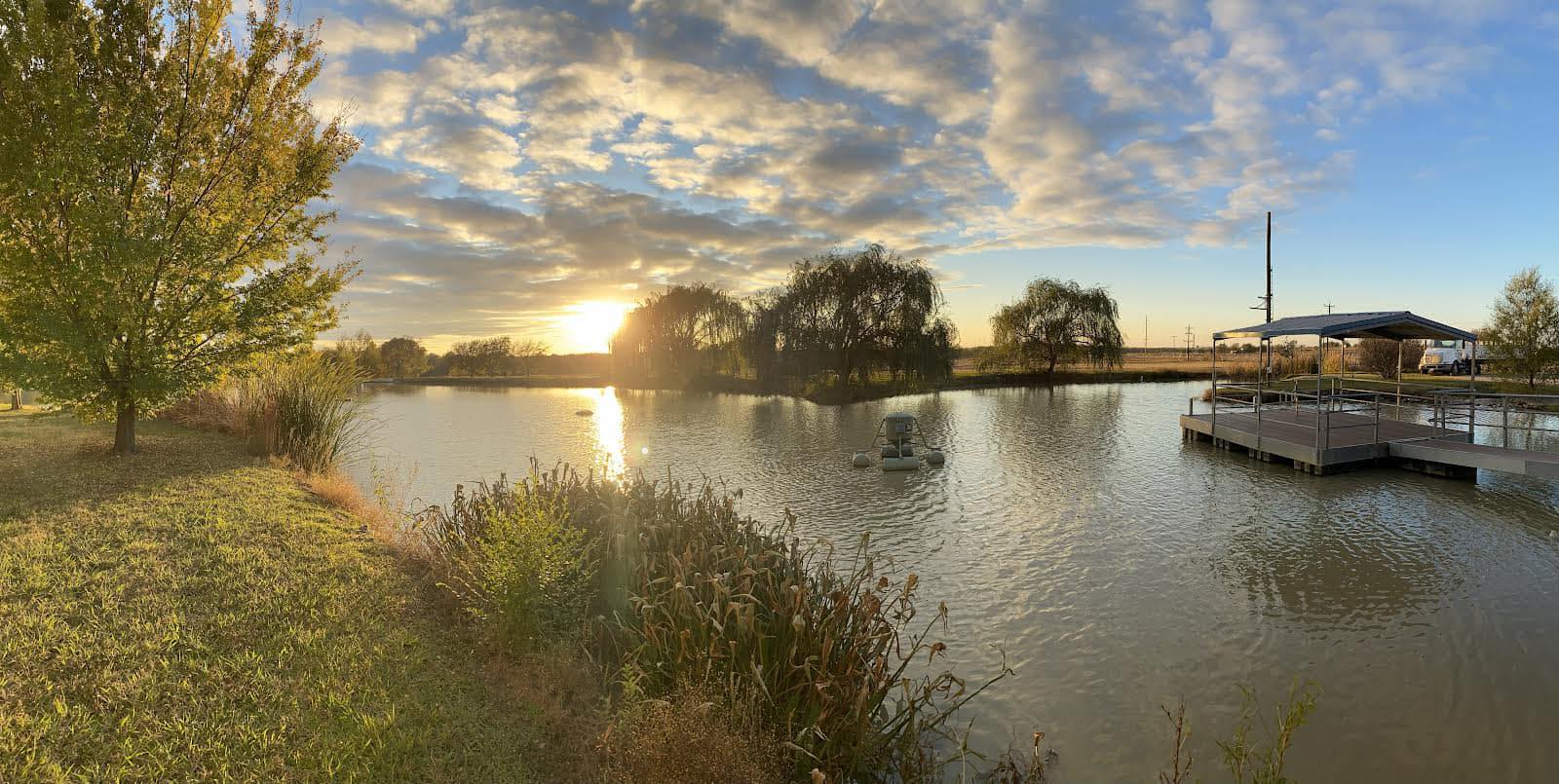 Sunset over a pond with trees and a floating dock