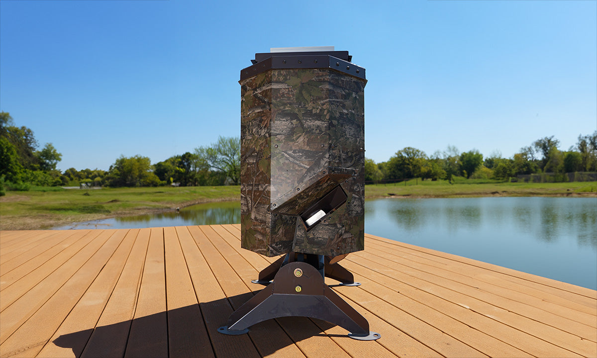 Fish Feeder on Dock