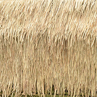 Fast Grass (Rebel-not installed)