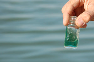 Pond Treatment Products
