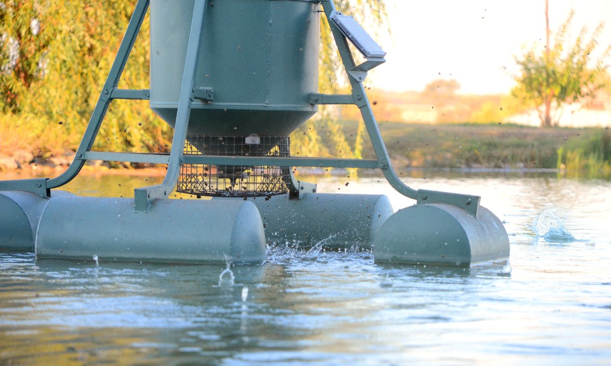 Fish Float Machine Floating Fish Feeder | Automatic Fish Feeder | Pond King, Inc.