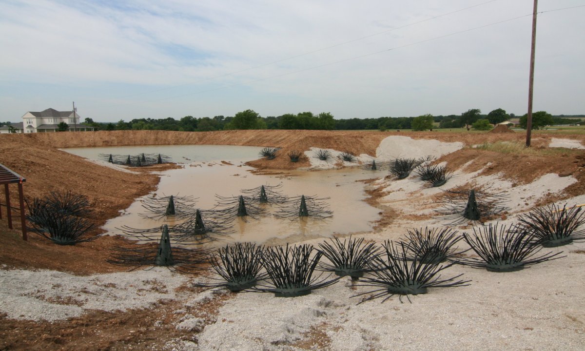 Artificial Habitat in New Pond
