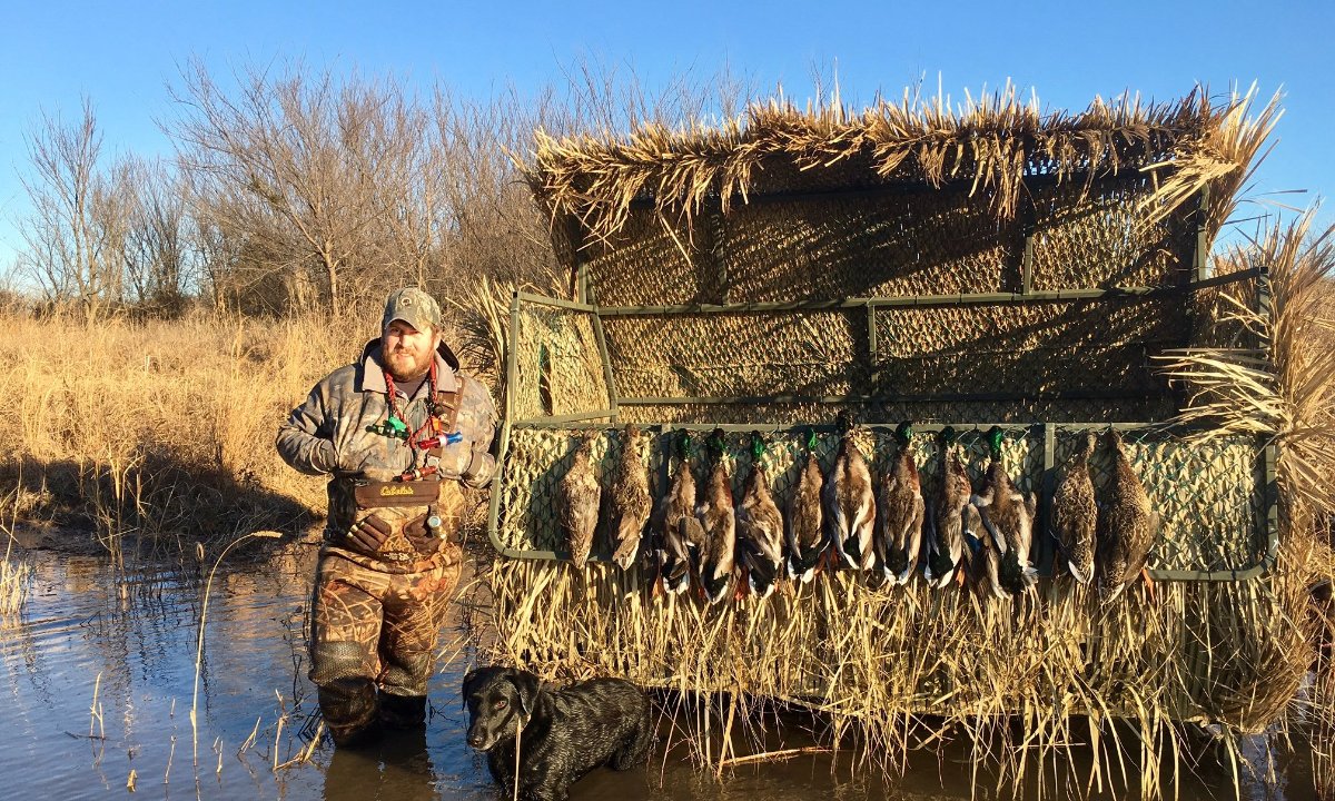 goose hunting blinds